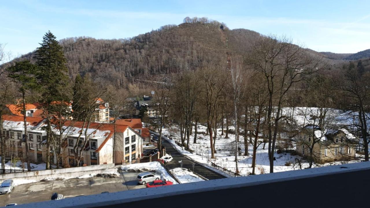 Apartment Harzmonie *